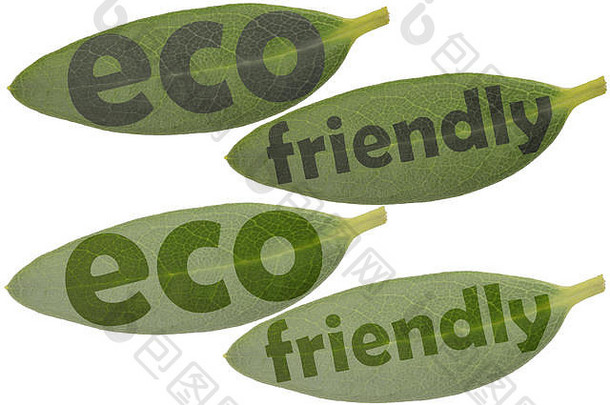 集叶子特写镜头突出显示单词生态友好的符号参考生态产品
