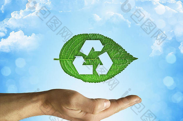 打开手持有绿色叶回收象征蓝色的天空背景友好的环境可持续发展的东莞