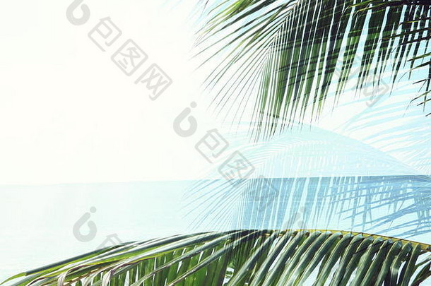 棕榈叶夏天背景没完没了的海洋照片插图