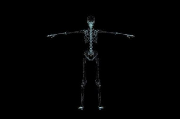 人类骨架全息图线框不错的渲染黑色的背景
