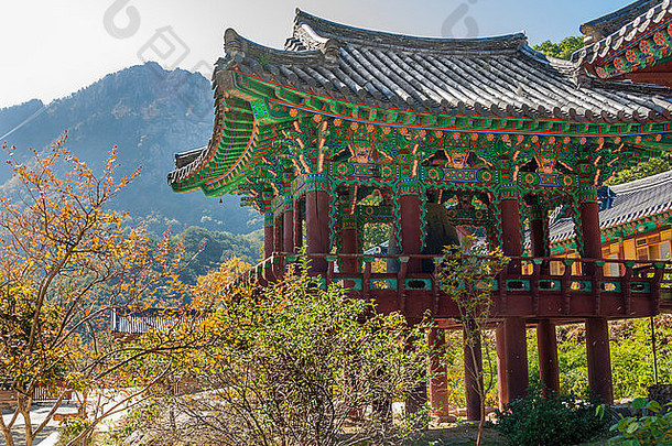 建筑佛教sinheungsa寺庙拉克山国家公园南韩国