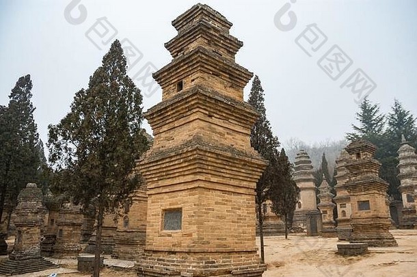 砖坟墓杰出的僧侣宝塔森林墓地少林寺庙少林寺庙著名的功夫登封河南地方