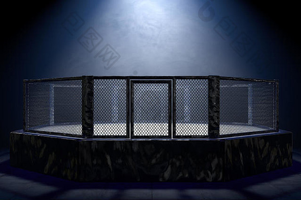 渲染综合格斗战斗笼子里竞技场穿着黑色的填充聚光灯下单光孤立的黑暗背景渲染