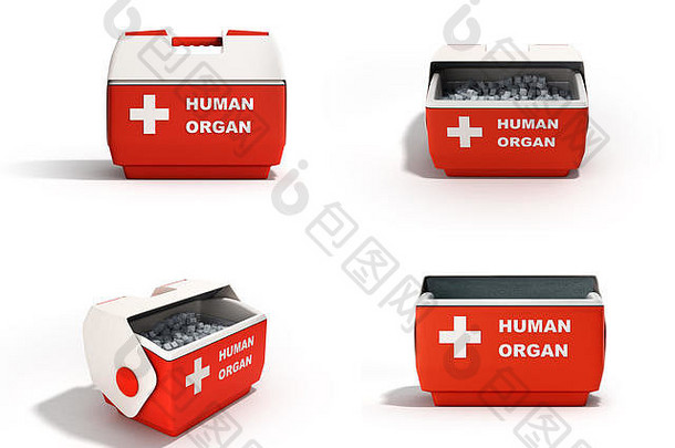 关闭人类器官冰箱盒子集合红色的渲染白色背景