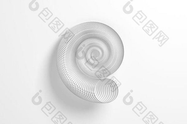 摘要轮螺旋壳牌结构使圈白色背景呈现插图