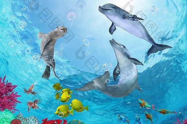 海豚家庭水珊瑚礁数字艺术壁纸