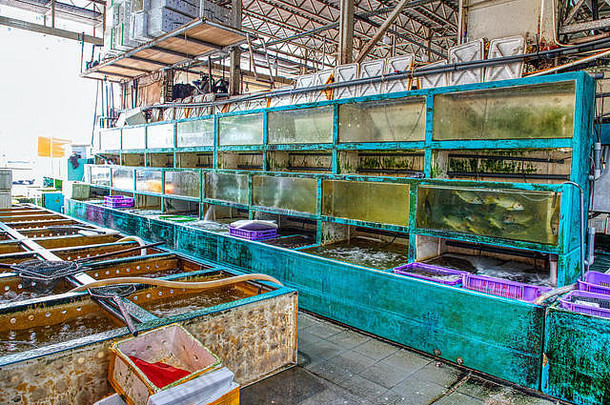 鱼市场阿伯丁在香港香港
