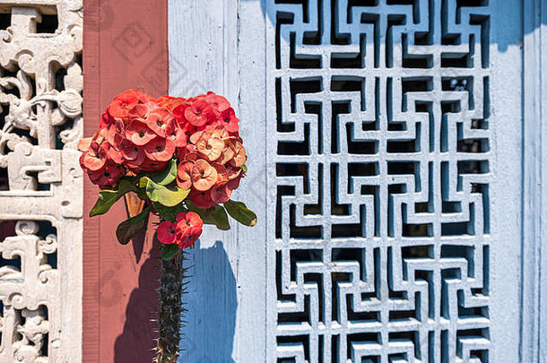 红色的然后西安花大戟科米利去摩尔蓝色的墙背景复制空间概念中国人房子建筑复古的葡萄酒屋顶
