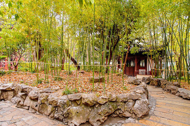 <strong>豫园</strong>万丽花园花园幸福广泛的中国人花园位于城市上海中国
