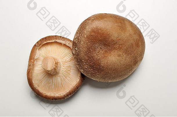香菇lentinula香菇白色背景