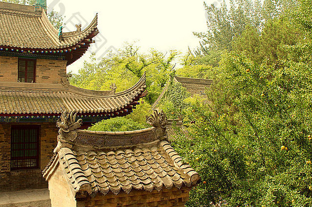 摄影传统的中国人屋顶建设小野生鹅宝塔