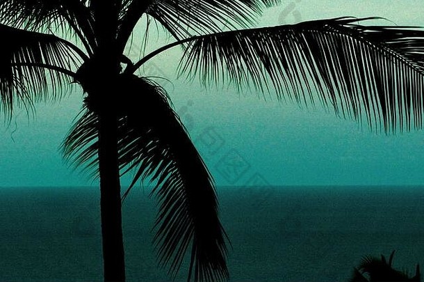 摘要背景棕榈树轮廓嘈杂的蓝色的海天空背景晚上时间