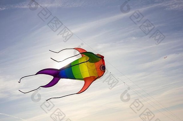 色彩斑斓的丝带风筝数据挂波兰人飞行蓝色的天空背景风筝节日