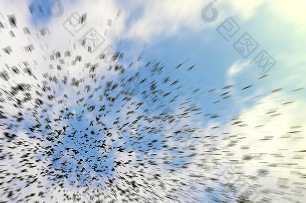 轮廓乌鸦蓝色的天空背景云大混乱的群黑色的鸟飞行留天空不规则的群乌鸦寒鸦鸟