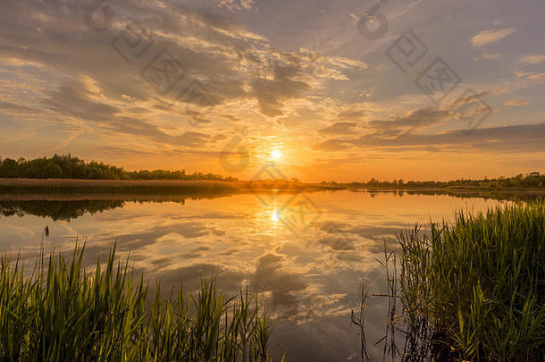 风景优美的视图美丽的日落日出池塘湖春天早期夏天晚上多云的天空背景里德草福雷格