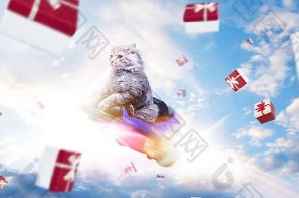 毛茸茸的灰色猫飞行玩具车礼物盒子多云的天空背景