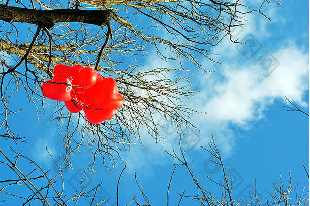 红色的心形状的气球挂树分支叶子明亮的蓝色的天空背景