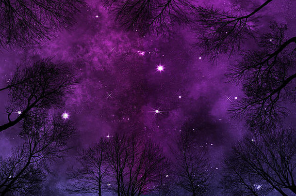 紫色的晚上天空背景明亮的星星重星云低角视图树