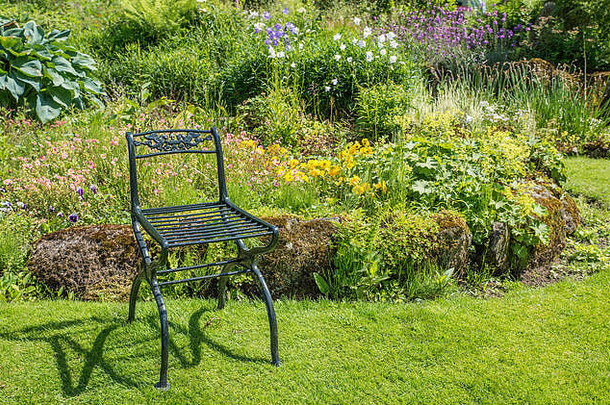 英语花园绿色<strong>金属椅</strong>子装饰前面边界莉莉花植物