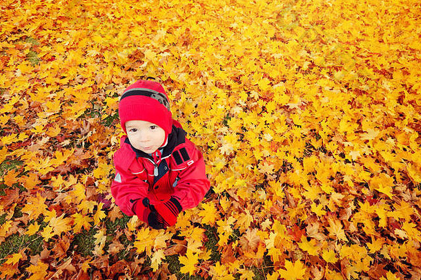 可爱的孩子坐着草坪上覆盖<strong>黄色</strong>的叶子