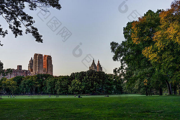 照片纽约美国8月纽约中央公园天际线视图日落树云