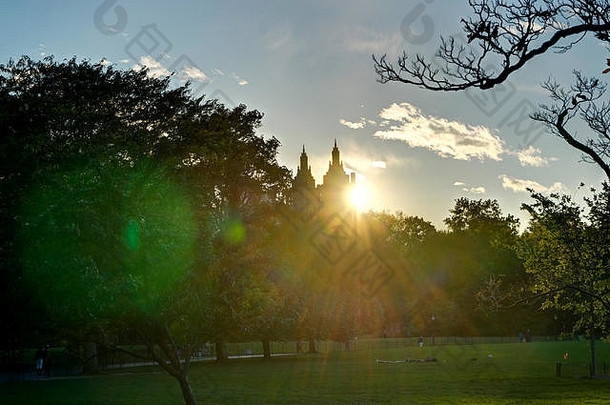 照片纽约美国8月纽约中央公园日落蓝色的天空树Manhatten