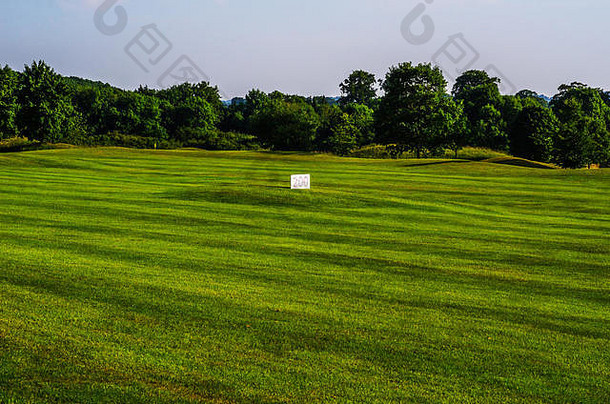 高尔夫球美丽的一天绿色草郁郁葱葱的植被高尔夫球孔的地方活跃的娱乐体育运动