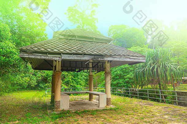 木露台Chongfah瀑布考县拉克泰国绿色森林背景