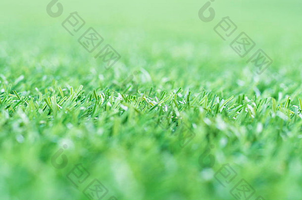绿色草背景纹理新鲜的春天绿色草
