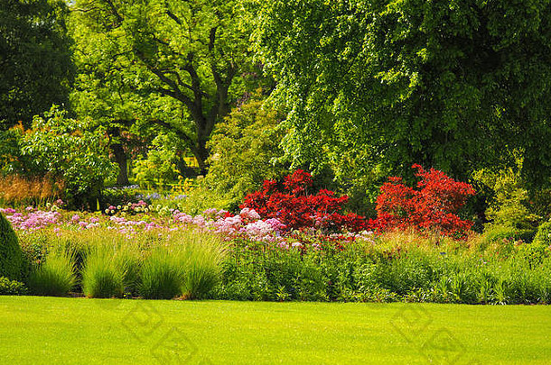 明亮的夏天颜色哈洛卡尔花园哈罗盖特北约克郡英格兰