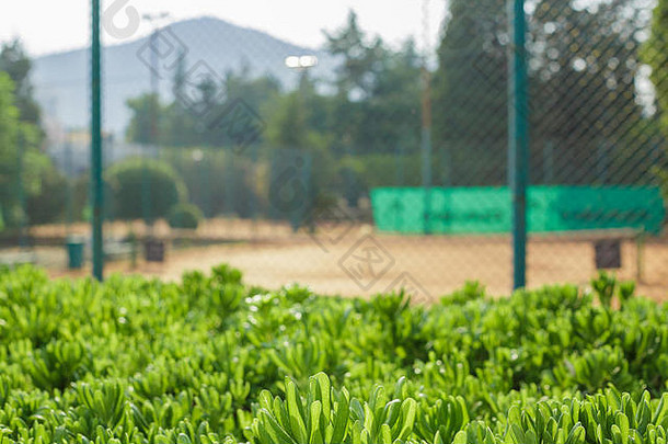 绿色草背景模糊的网球法院