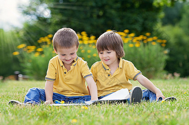 甜蜜的男孩兄弟阅读书公园夏季晚些时候下午