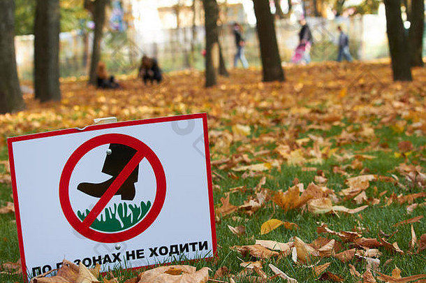 绿色草坪上下降枫木叶子标志登记乌克兰走草坪