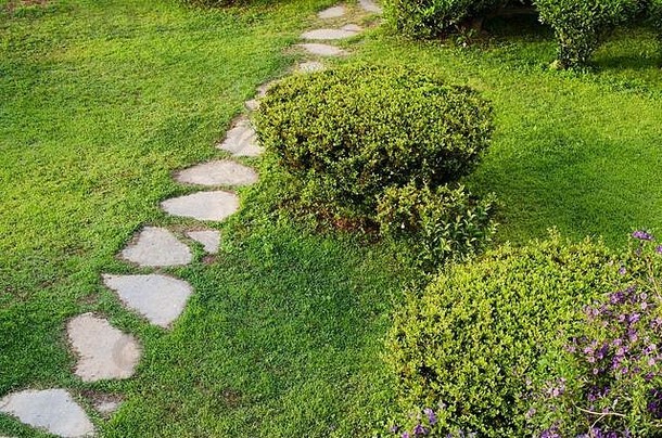 石头路径花园绿色草坪上草日益增长的石头