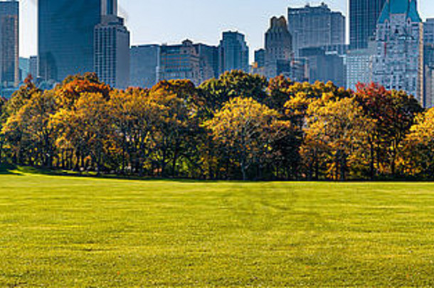 早....全景视图羊草地中央公园南摩天大楼秋天树叶曼哈顿纽约城市