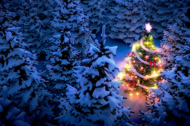 减轻了圣诞节树包围白雪覆盖的松树晚上