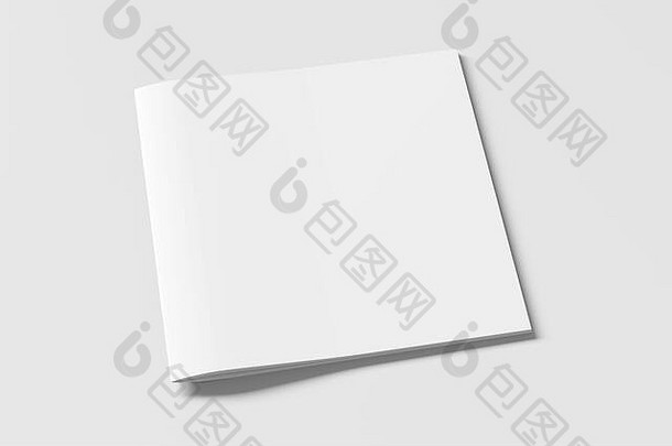 广场宣传册小册子封面模拟白色孤立的剪裁路径宣传册一边视图illustratuion