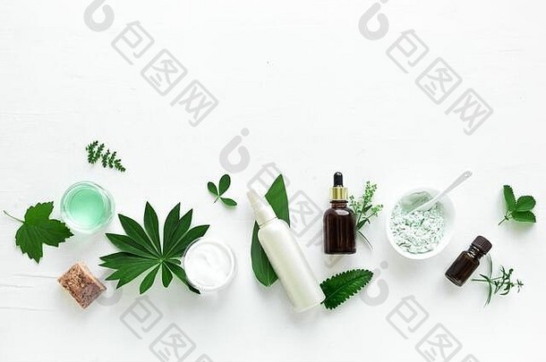 自然化妆品产品绿色叶子白色背景前视图复制空间自然有机护肤品水疗中心生态美健康的生活方式