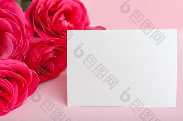 花模拟祝贺祝贺你卡花束粉红色的红色的玫瑰粉红色的背景白色空白卡空间文本框架