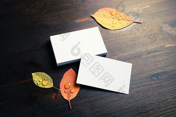 空白白色业务卡片秋天叶子木背景
