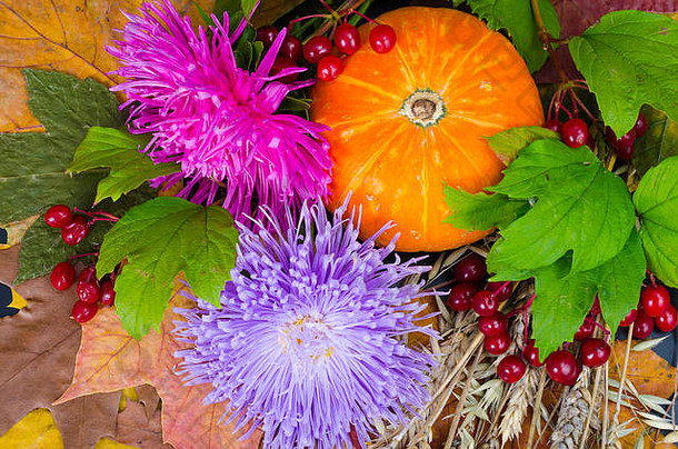 色彩斑斓的秋天背景感恩节劳动一天