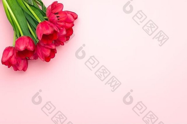 作文红色的郁金香粉红色的背景平躺前视图复制空间女人的一天母亲一天春天概念花装饰