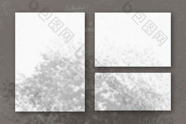 水平垂直表白色变形纸背景灰色墙自然光数据类型转换阴影苹果分支机构
