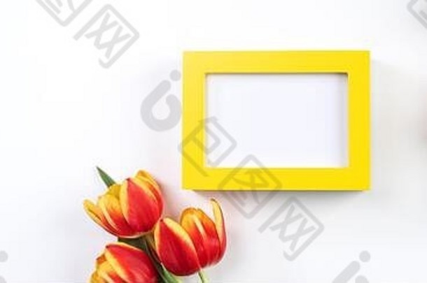 母亲的一天设计概念郁金香花群美丽的红色的黄色的花束孤立的白色背景表格前视图平躺复制空间