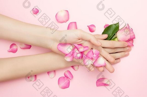 国际女士一天快乐情人节母亲一天概念女人手持有玫瑰花粉红色的背景薄手腕自然