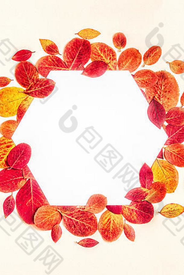 明亮的红色的叶子柔和的背景复制空间
