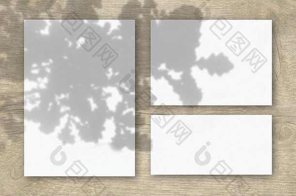 水平垂直表白色变形纸木表格背景自然光数据类型转换阴影橡木叶子平
