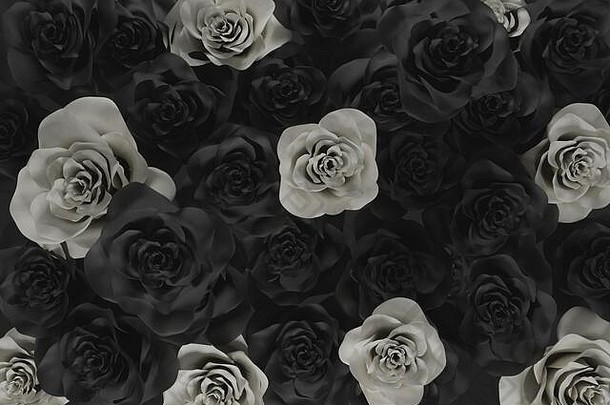 呈现白色黑色的玫瑰