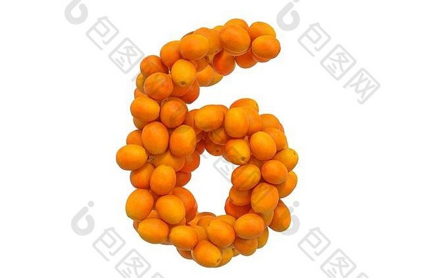 数量橙子呈现孤立的白色背景