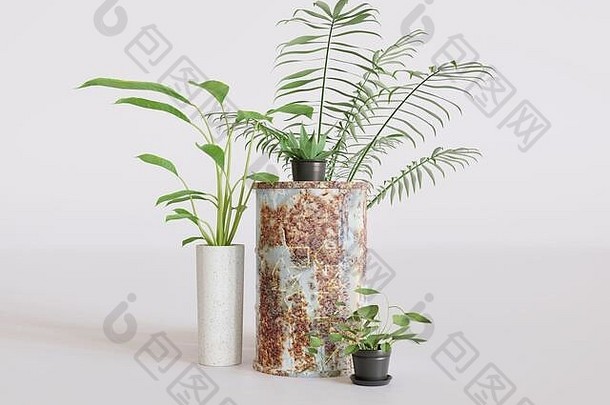 植物生锈的金属桶回收标志工作室白色背景呈现概念